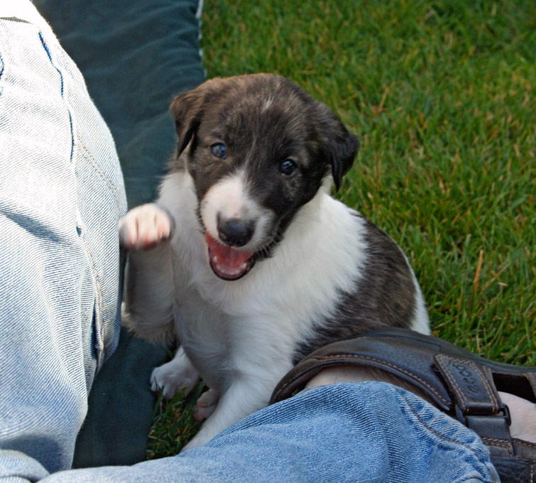 Surf Spots - Boy 2 Play